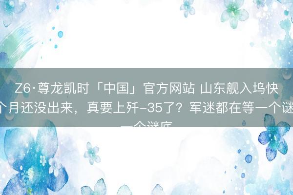 Z6·尊龙凯时「中国」官方网站 山东舰入坞快4个月还没出来，真要上歼-35了？军迷都在等一个谜底