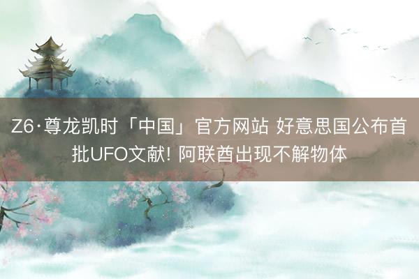 Z6·尊龙凯时「中国」官方网站 好意思国公布首批UFO文献! 阿联酋出现不解物体