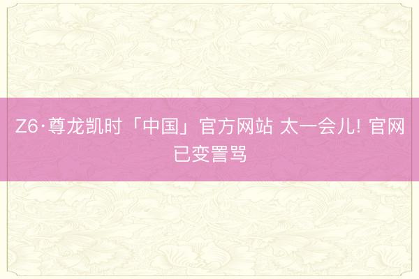 Z6·尊龙凯时「中国」官方网站 太一会儿! 官网已变詈骂