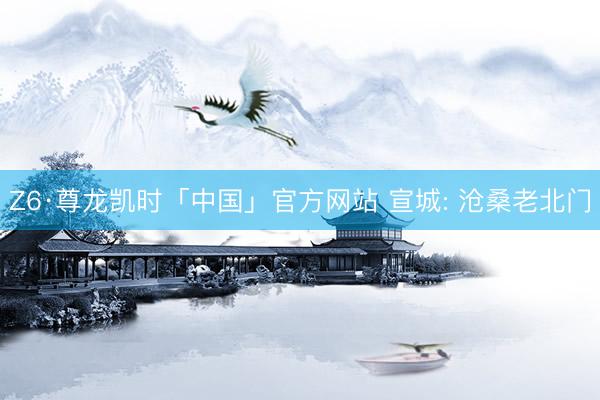 Z6·尊龙凯时「中国」官方网站 宣城: 沧桑老北门