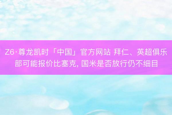 Z6·尊龙凯时「中国」官方网站 拜仁、英超俱乐部可能报价比塞克， 国米是否放行仍不细目