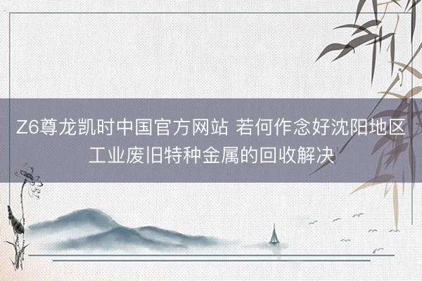 Z6尊龙凯时中国官方网站 若何作念好沈阳地区工业废旧特种金属的回收解决