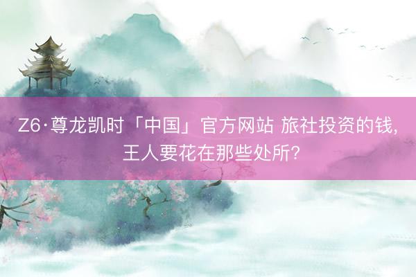 Z6·尊龙凯时「中国」官方网站 旅社投资的钱， 王人要花在那些处所?