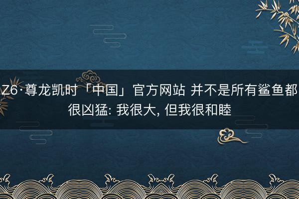 Z6·尊龙凯时「中国」官方网站 并不是所有鲨鱼都很凶猛: 我很大， 但我很和睦