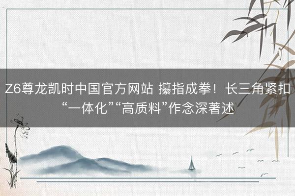 Z6尊龙凯时中国官方网站 攥指成拳！长三角紧扣“一体化”“高质料”作念深著述