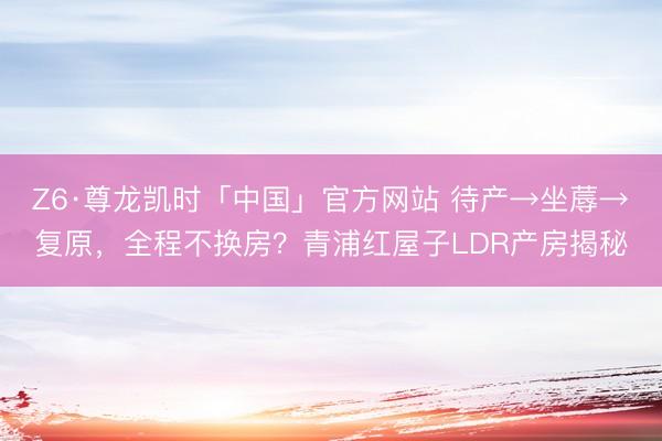 Z6·尊龙凯时「中国」官方网站 待产→坐蓐→复原，全程不换房？青浦红屋子LDR产房揭秘