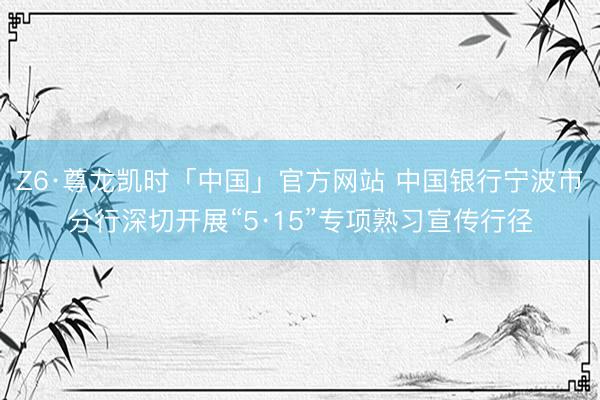 Z6·尊龙凯时「中国」官方网站 中国银行宁波市分行深切开展“5·15”专项熟习宣传行径