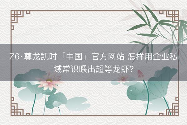 Z6·尊龙凯时「中国」官方网站 怎样用企业私域常识喂出超等龙虾?