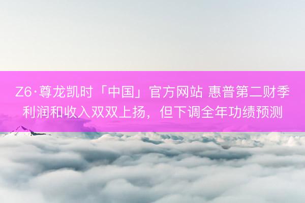 Z6·尊龙凯时「中国」官方网站 惠普第二财季利润和收入双双上扬，但下调全年功绩预测