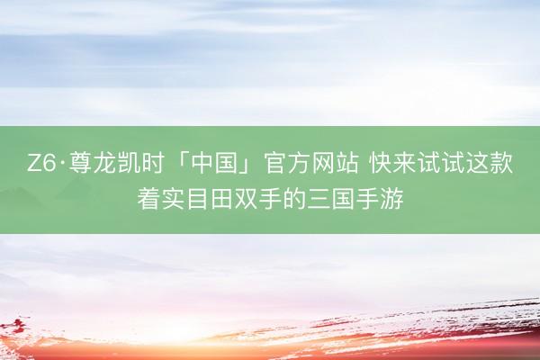 Z6·尊龙凯时「中国」官方网站 快来试试这款着实目田双手的三国手游