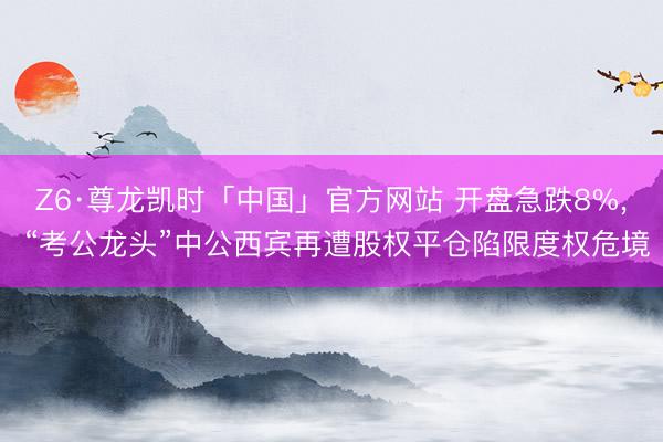 Z6·尊龙凯时「中国」官方网站 开盘急跌8%， “考公龙头”中公西宾再遭股权平仓陷限度权危境