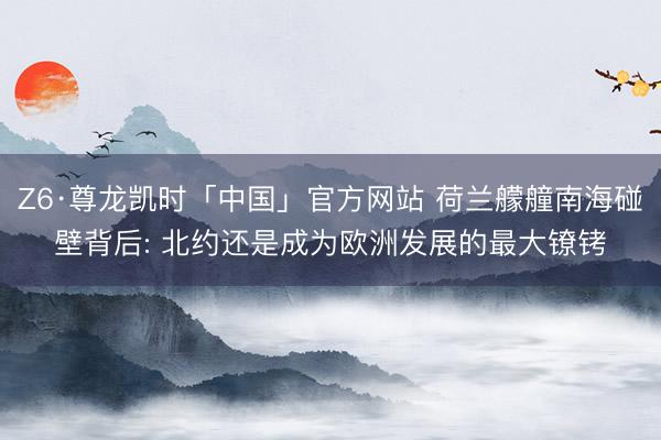 Z6·尊龙凯时「中国」官方网站 荷兰艨艟南海碰壁背后: 北约还是成为欧洲发展的最大镣铐