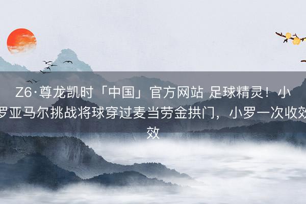 Z6·尊龙凯时「中国」官方网站 足球精灵！小罗亚马尔挑战将球穿过麦当劳金拱门，小罗一次收效