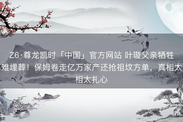 Z6·尊龙凯时「中国」官方网站 叶璇父亲牺牲一年难埋葬！保姆卷走亿万家产还抢祖坟方单，真相太扎心