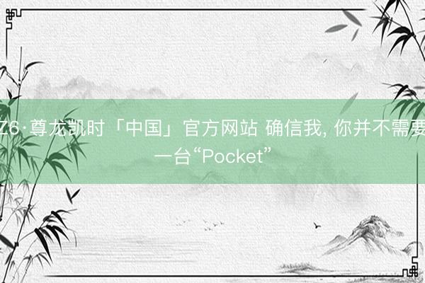 Z6·尊龙凯时「中国」官方网站 确信我， 你并不需要一台“Pocket”