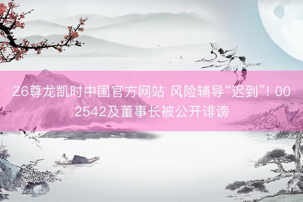 Z6尊龙凯时中国官方网站 风险辅导“迟到”! 002542及董事长被公开诽谤