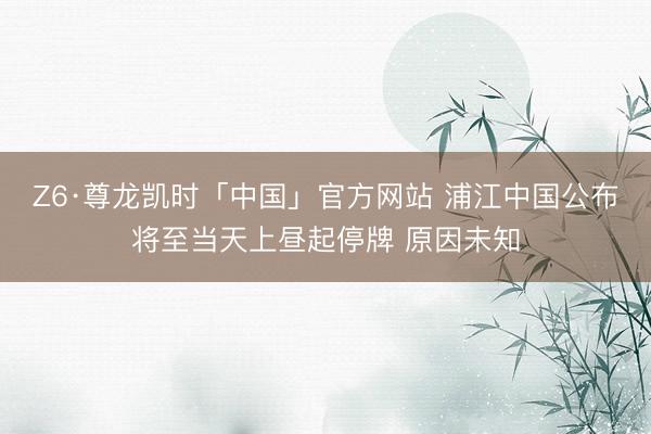 Z6·尊龙凯时「中国」官方网站 浦江中国公布将至当天上昼起停牌 原因未知