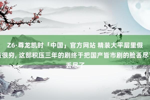 Z6·尊龙凯时「中国」官方网站 精装大平层里假装很穷， 这部积压三年的剧终于把国产皆市剧的脸丢尽了