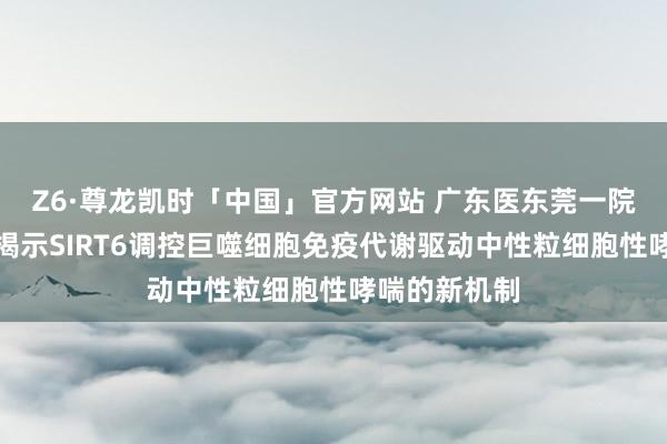 Z6·尊龙凯时「中国」官方网站 广东医东莞一院重磅效果:揭示SIRT6调控巨噬细胞免疫代谢驱动中性粒细胞性哮喘的新机制