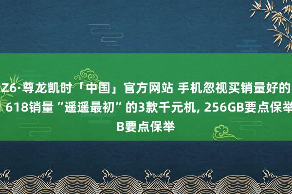 Z6·尊龙凯时「中国」官方网站 手机忽视买销量好的! 618销量“遥遥最初”的3款千元机， 256GB要点保举