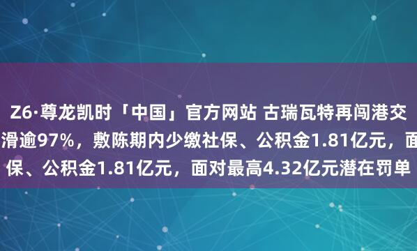 Z6·尊龙凯时「中国」官方网站 古瑞瓦特再闯港交所：2024年净利润下滑逾97%，敷陈期内少缴社保、公积金1.81亿元，面对最高4.32亿元潜在罚单