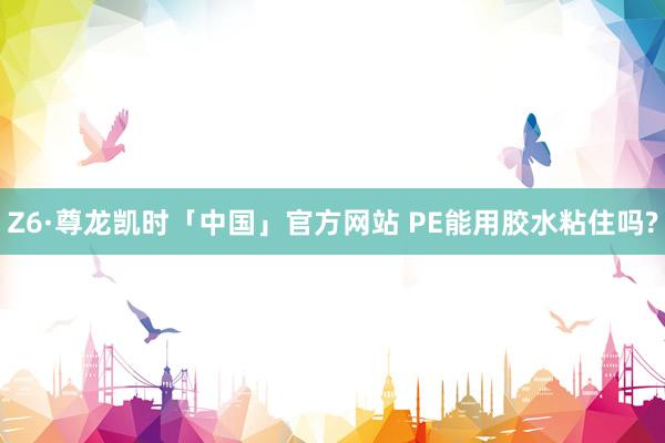 Z6·尊龙凯时「中国」官方网站 PE能用胶水粘住吗?