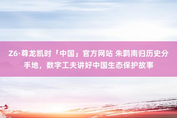 Z6·尊龙凯时「中国」官方网站 朱鹮南归历史分手地,数字工夫讲好中国生态保护故事